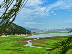 -鄱阳湖国家湿地公园
