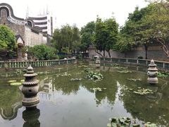 -碧江金楼