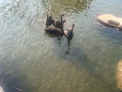 -西昌邛海宾馆