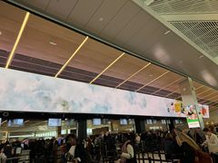 -纽瓦克自由国际机场