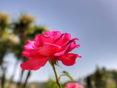 -阿尔罕布拉宫