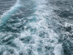 -真情鲍鱼海鲜汤