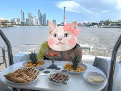 -黄金海岸
