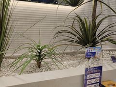 -兰湘子·湘菜小炒(崂山丽达店)