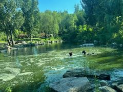 -北京野生动物园