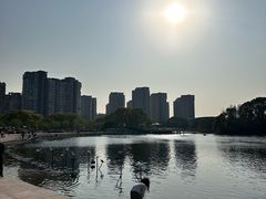 -新江湾城公园
