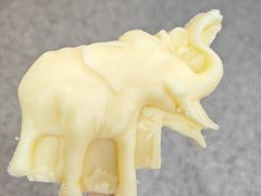 -天津自然博物馆