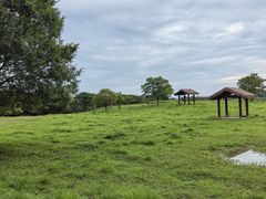-良渚古城遗址公园