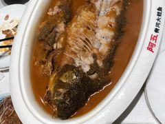 -阿五黄河大鲤鱼(海尚店)