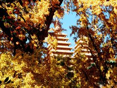 -北京石刻艺术博物馆(五塔寺)