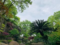 -南山植物园