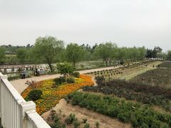 -漩门湾国家湿地公园