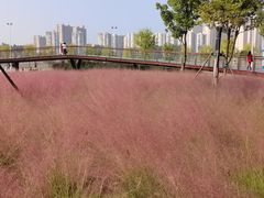-汉江湾体育公园