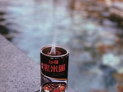 -凤翔首邑温泉度假村