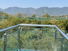 -陶祖圣境风景区