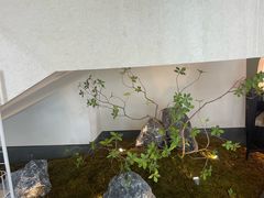 -上座云间·青年赣菜(绿茵店)