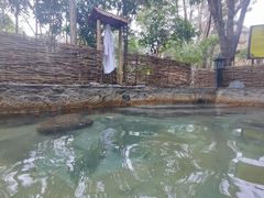 -深业半汤御泉庄温泉