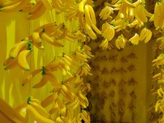 -福州奇幻解压馆(东泰禾旗舰店)