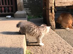 -老屋咖啡