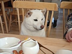 -柴の食堂·日式家庭料理·熊之肆(大学路店)