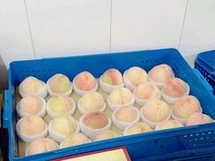 -老袁家蜜桃农场·阳山水蜜桃