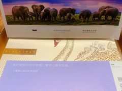 -BLACKSWAN黑天鹅(环球店)
