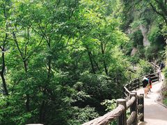 -少华山国家森林公园
