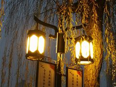 -文瀛公园