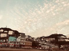 -枸杞岛
