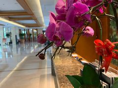 -扬州瘦西湖汇金酒店