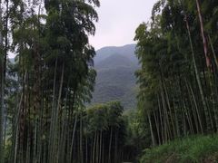 -藏龙百瀑风景区