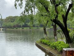 -上海鲜花港