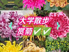 -上海大学(宝山校区)
