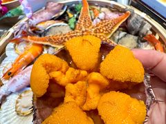-鲜得莱渔港·小平岛海胆馆(七贤岭店)