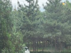 -澜小宴·胶东海鲜烟台味(时光塔店)