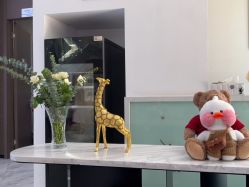 -上海漾颜医疗美容