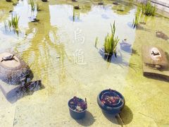 -养云安缦·廊