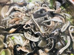 -攀枝花·任德琼·盐边羊肉米线