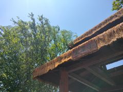 -白洋淀景区