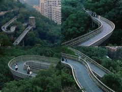 -福道