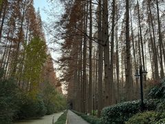-上海怡沁园度假酒店