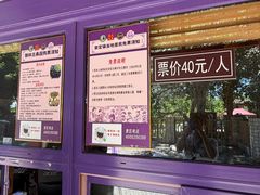 -御林古桑园