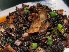 -土桥手掌鸡·26年灌县老味道(都江堰店)