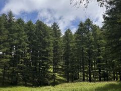 -驼梁风景区