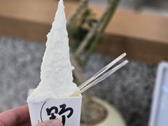 -野人先生Gelato(上海长宁龙之梦店)
