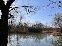 -西溪国家湿地公园