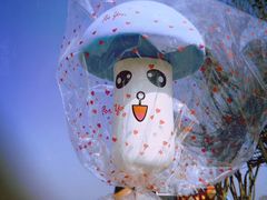 -武汉紫薇都市田园