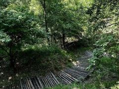 -五龙城郊森林公园