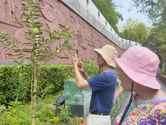 -广州神农草堂中医药博物馆