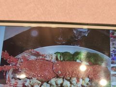 -北国之春国宴(乌兰察布店)